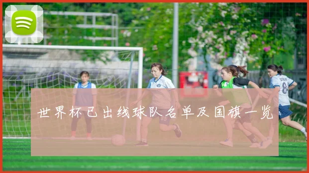 世界杯已出线球队名单及国旗一览